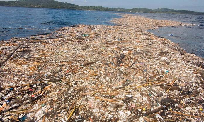 Die Meere ersticken in Plastik – und keiner tut etwas dagegen